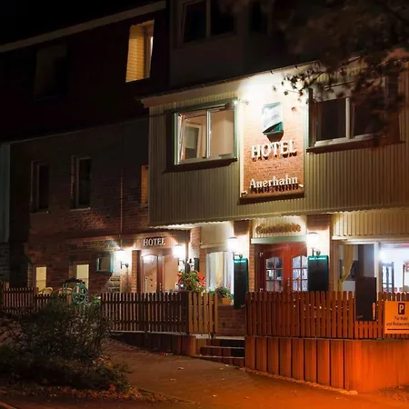 Boutique Auerhahn Apartmán *