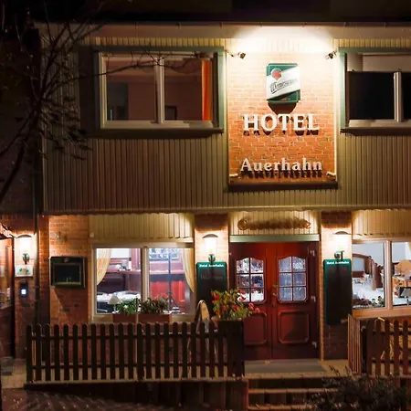Apartmán Boutique Auerhahn Quedlinburg